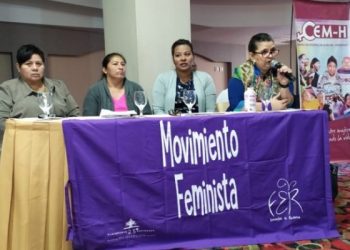 Honduras. Mujeres le exigen al Estado rendición de cuentas del presupuesto asignado para investigar las muertes violentas y femicidios