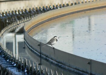 Ecologistas en Acción denuncia que la información del agua está en manos de las multinacionales