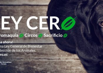 PACMA acude al Congreso para recordar al Gobierno que ya existe una ley de protección animal: la Ley Cero