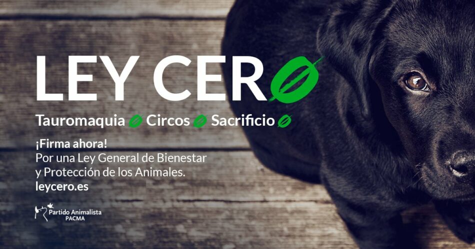 PACMA acude al Congreso para recordar al Gobierno que ya existe una ley de protección animal: la Ley Cero