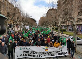 Irene de Miguel (UP), sobre las movilizaciones en el campo: «Hay que intervenir el mercado para fijar un precio mínimo en origen»