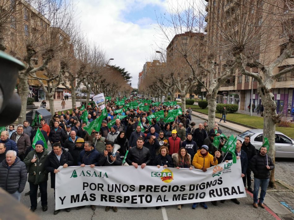 Irene de Miguel (UP), sobre las movilizaciones en el campo: «Hay que intervenir el mercado para fijar un precio mínimo en origen»