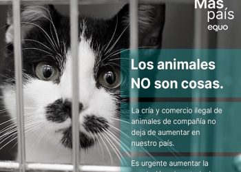 EQUO y Más País preguntan al Gobierno qué medidas va adoptar contra la cría y el comercio ilegal de animales de compañía