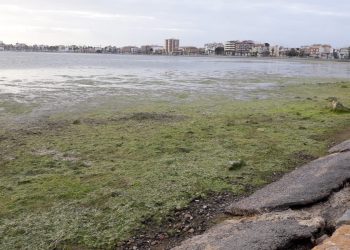 EQUO y el Partido Verde Europeo respaldan la petición de la coalición Pacto por el Mar Menor para que el Parlamento Europeo proteja este espacio único