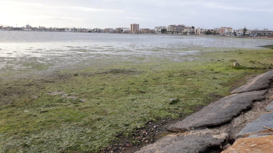 EQUO y el Partido Verde Europeo respaldan la petición de la coalición Pacto por el Mar Menor para que el Parlamento Europeo proteja este espacio único