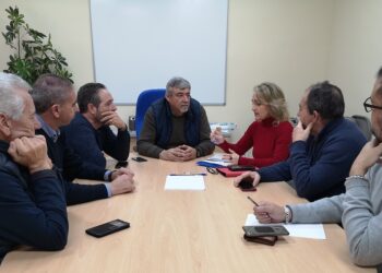 Adelante Sevilla propone una ordenanza municipal para limitar el número de vehículos VTC