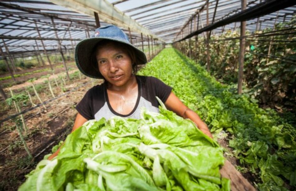 Argentina. Feminismo que brota en las huertas