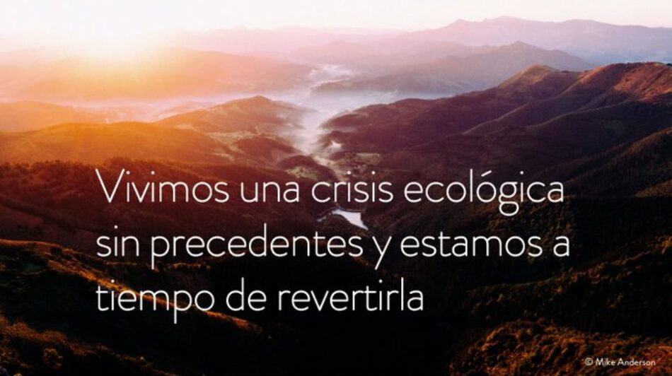 Ecologistas en Acción demanda a Teresa Ribera que analice las causas del fracaso de España en detener la pérdida de biodiversidad