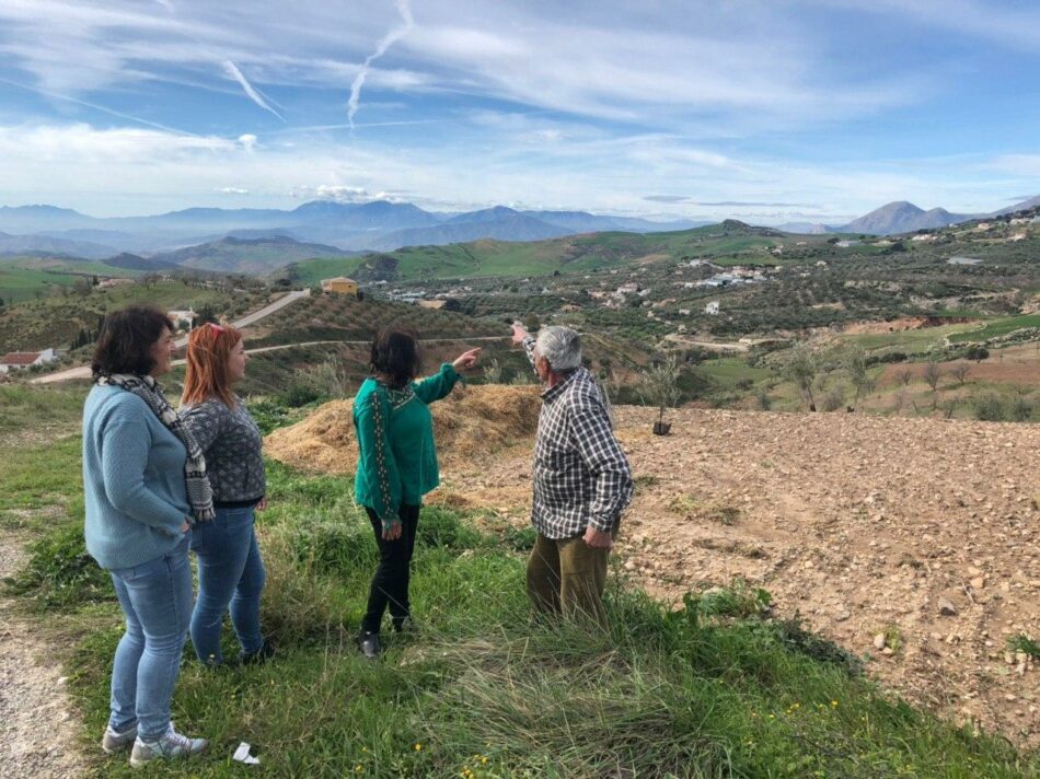 Adelante Andalucía avisa de que el proyecto de macroparque fotovoltaico de El Torcal será perjudicial para el desarrollo de la zona