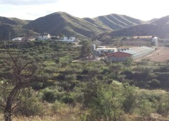 Quince familias de Los Cañicos (Albox, Almería) continúan sin agua