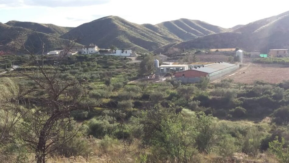 Quince familias de Los Cañicos (Albox, Almería) continúan sin agua