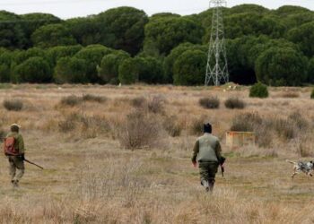 Unidas Podemos reclama a la Junta de Castilla y León que rectifique y retire la autorización de la caza en grupos de cuatro personas durante el estado de alarma