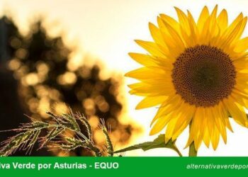 Verdes EQUO elige nuevos coportavoces en Asturias