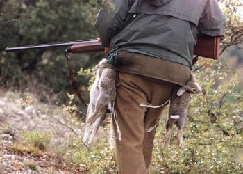 Ecologistas en Acción denuncia que se siga autorizando la caza durante el estado de alarma