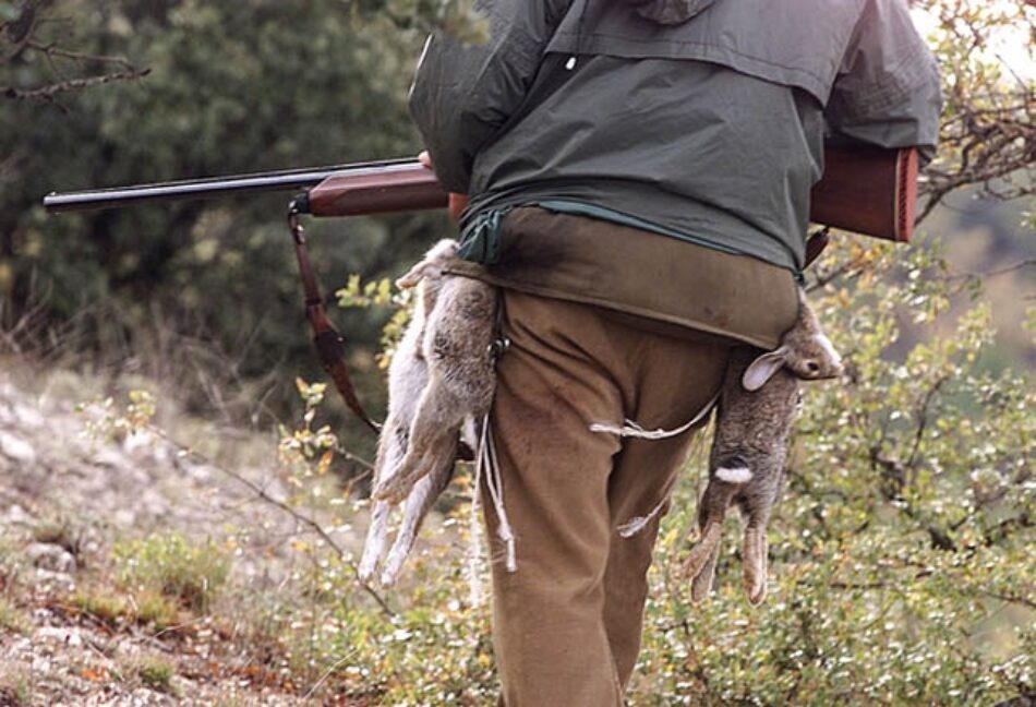Ecologistas en Acción denuncia que se siga autorizando la caza durante el estado de alarma