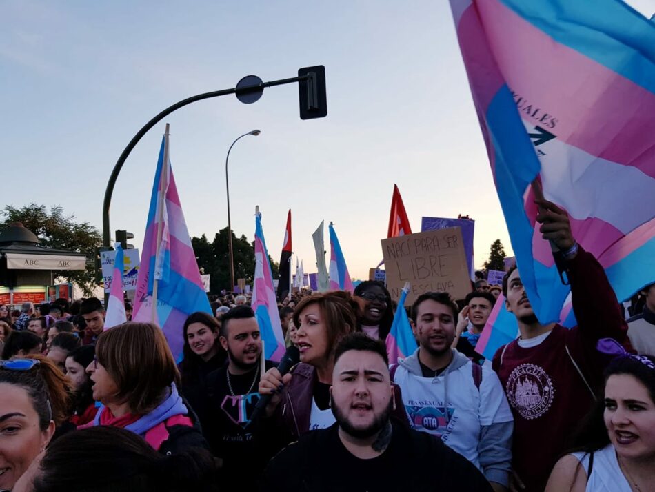 La Plataforma Trans pide que se pongan banderas trans en los balcones por el Día de la Visibilidad Trans