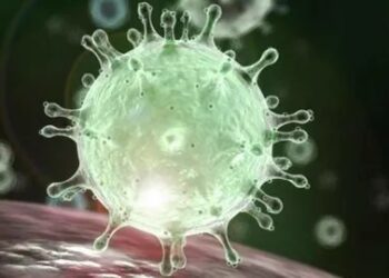 19 propuestas ambientales y sociales para dar respuesta a la crisis del coronavirus