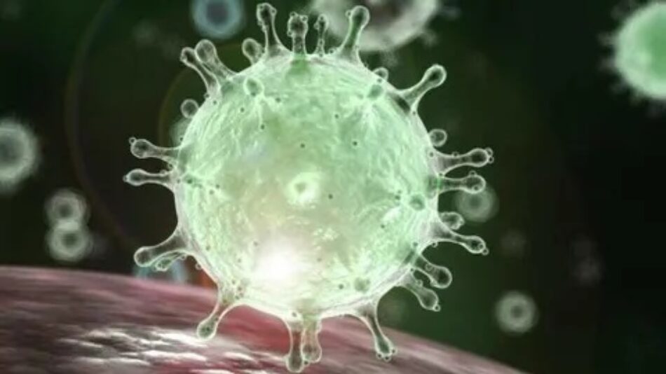 19 propuestas ambientales y sociales para dar respuesta a la crisis del coronavirus