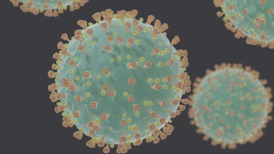 La primera secuencia de un SARS-CoV-2 ‘español’ corrobora que muta menos que la gripe