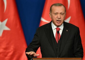 Erdogan, el padrino del terrorismo