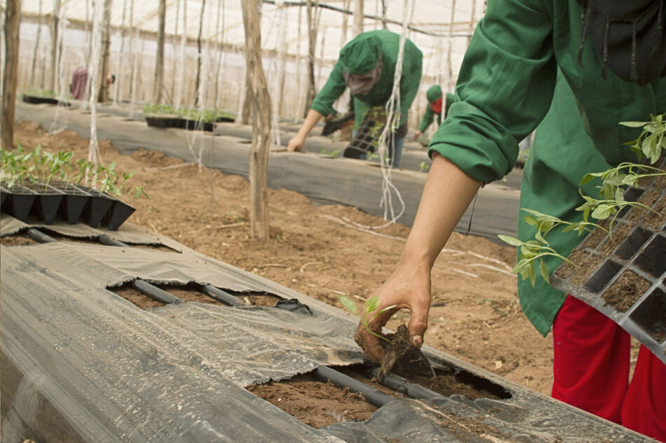 Las mujeres reciben menos de la tercera parte de las ayudas directas y de desarrollo rural de la PAC