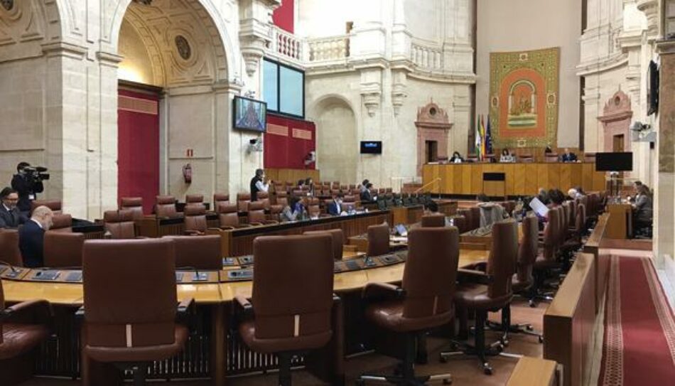 Fridays for Future Andalucía se adhiere al rechazo del decretazo de la Junta