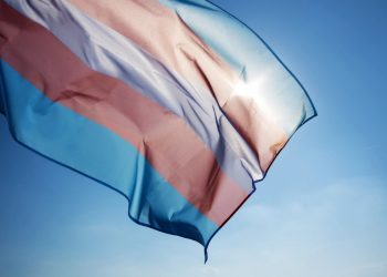 La Federación Plataforma Trans y más de 70 asociaciones piden a la Ministra de Igualdad recursos para las personas trans más vulnerables