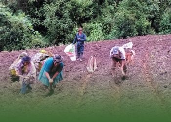 Indígenas y campesinos proponen plan de contingencia en Perú