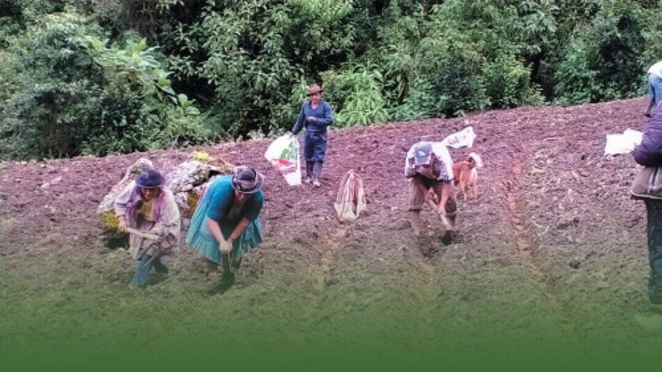 Indígenas y campesinos proponen plan de contingencia en Perú