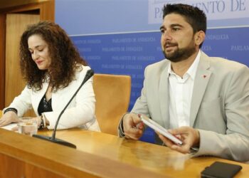 Adelante Andalucía exige a la Junta una rectificación ante los Ayuntamientos sobre la adquisición de EPIs