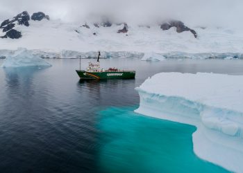 Greenpeace concluye la expedición más ambiciosa de su historia con una demanda clara: “Urge la protección de los océanos”