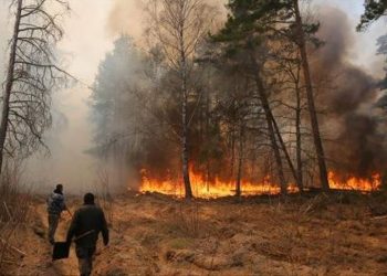 Los incendios en la zona de exclusión de Chernóbil destruyen más de 11.000 hectáreas forestales