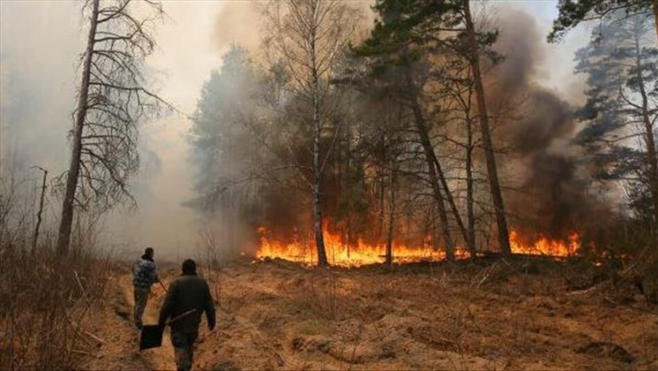 Los incendios en la zona de exclusión de Chernóbil destruyen más de 11.000 hectáreas forestales