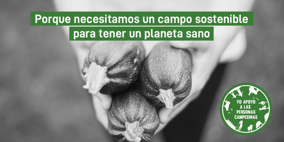 Más de 150 entidades envían una carta al Gobierno para que apoye la producción local y sostenible