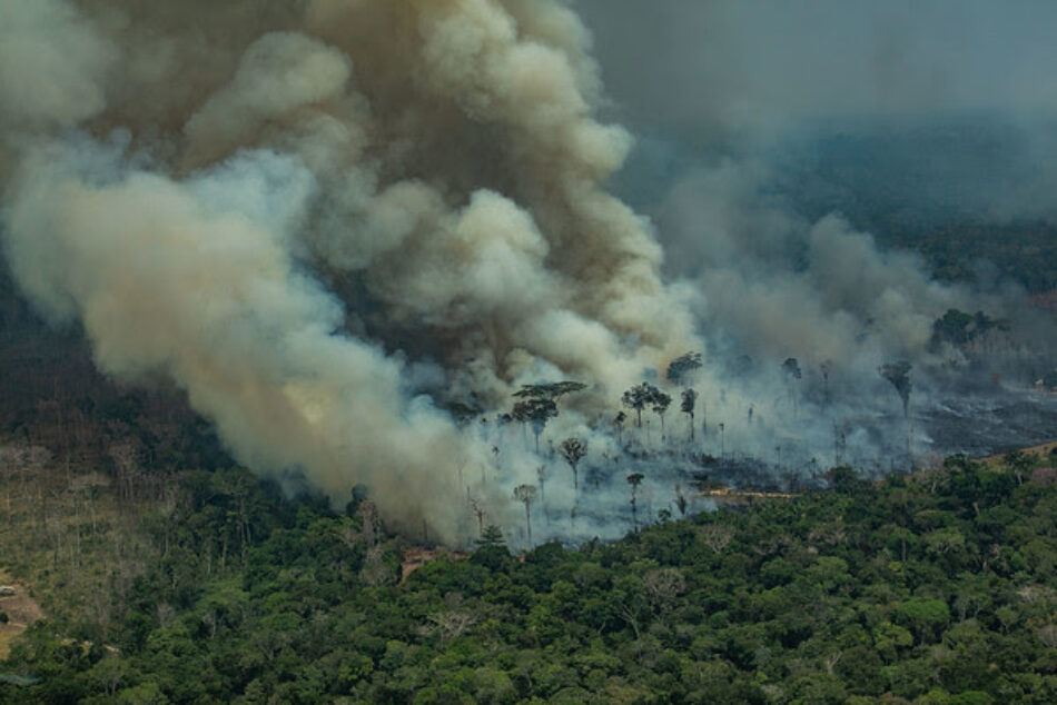 El confinamiento no paraliza el movimiento climático en el Día de la Tierra