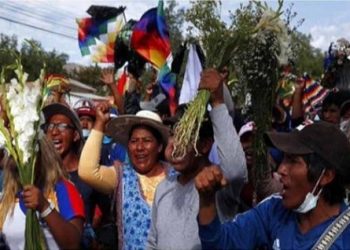 Campesinos/as exigen salida de ministro del Gobierno de facto en Bolivia