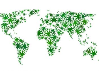 Manifiesto Marcha Mundial de la Marihuana 2020: Madrid Global