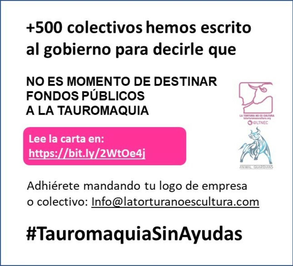 «Más de 500 colectivos enviamos una carta al gobierno sobre las posibles ayudas a la tauromaquia»