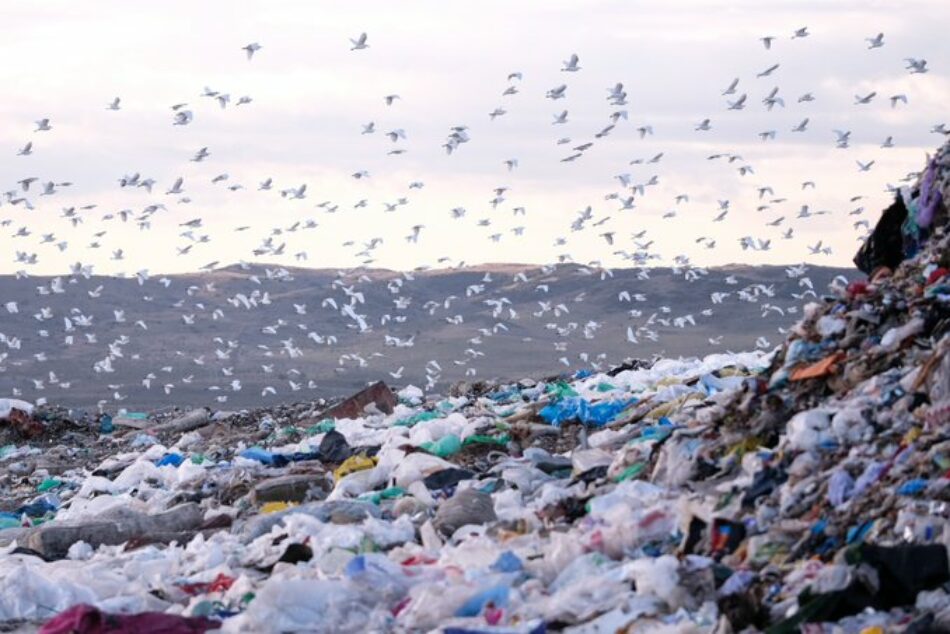 COVID–19: Alianza Residuo Cero reclama al Gobierno que no ceda ante la industria del plástico y apueste por una gestión eficaz de los residuos