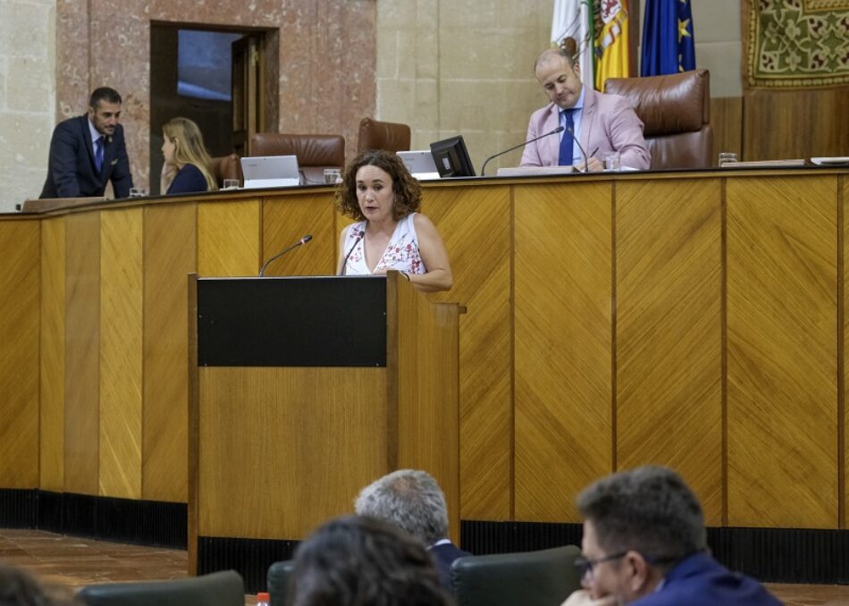 Adelante afea a Imbroda que “vuelva a pasar la pelota a los equipos directivos con las instrucciones para la reapertura de los centros educativos” y señala su “incompetencia”