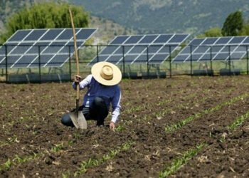 Celebran la aprobación de un anteproyecto de Ley de Cambio Climático y Transición Energética aún insuficiente