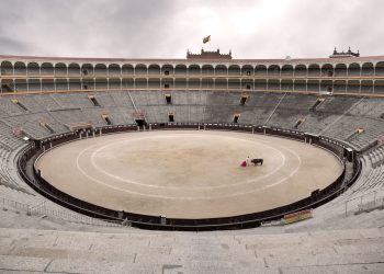 ONG’s piden al Gobierno que quiten los toros del Ministerio de Cultura