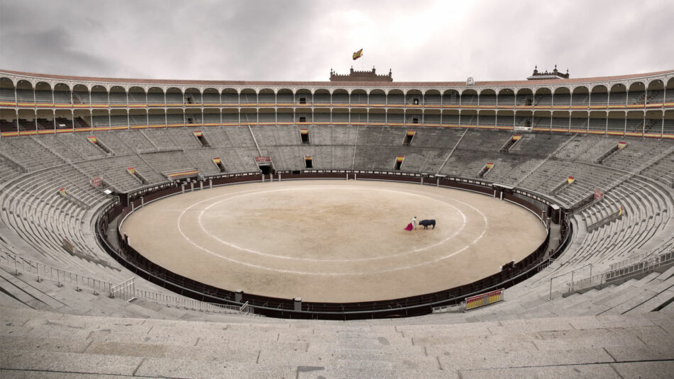 ONG’s piden al Gobierno que quiten los toros del Ministerio de Cultura