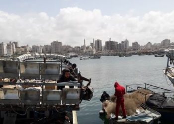 Los pescadores en Gaza, entre los ataques de Israel y el miedo a la COVID-19