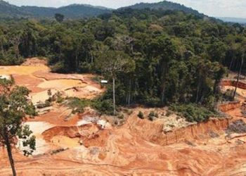 La deforestación en la Amazonia Brasileña rompe su récord en abril