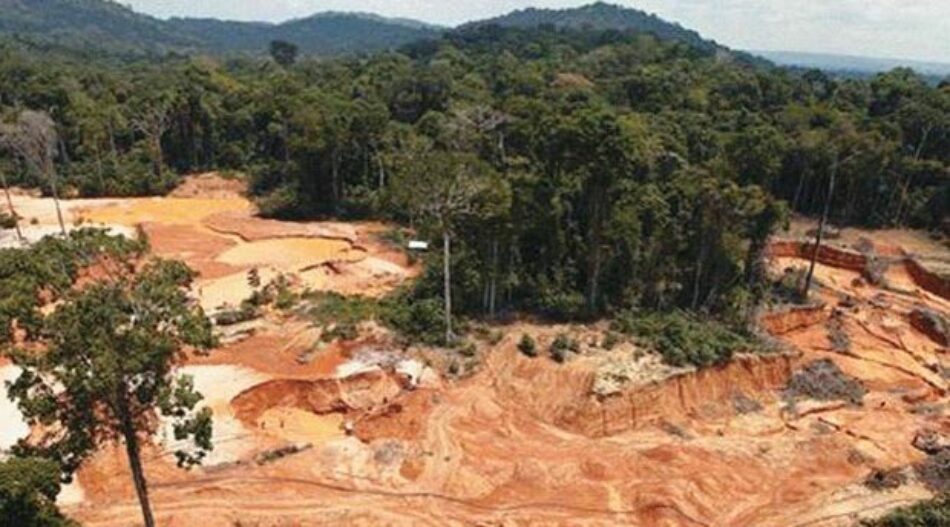 La ONU aboga por leyes más estrictas para la protección del medio ambiente