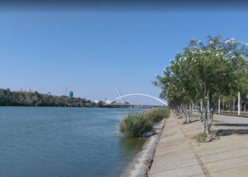 Adelante Sevilla propone una batería de medidas para “poner en valor el paseo fluvial del Guadalquivir”