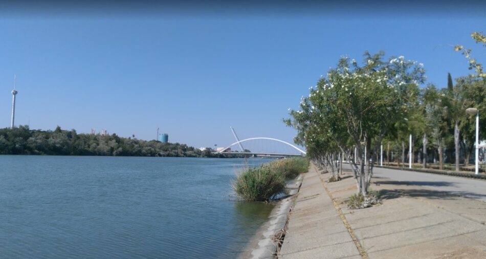 Adelante Sevilla propone una batería de medidas para “poner en valor el paseo fluvial del Guadalquivir”