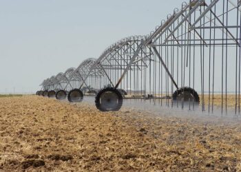 «Es necesario reducir el regadío para luchar contra la desertificación y la sequía»