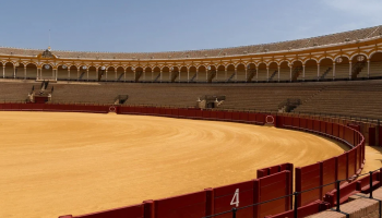 Izquierda Unida incluirá la retirada de la tauromaquia en su programa electoral